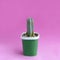 Small homemade cactus on pink background