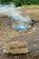 Small hot springs in the Geysir area, Iceland