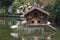 Small house built into the lake for ducks