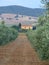 Small house in the contryside of the Toscana in Italy.