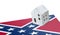Small house on flag - Confederate flag