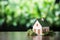 A small house model, framed by a dreamy green bokeh