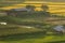 Small house in rice field