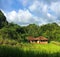 Small house in rice fields. Idyllic summer landscape with green field and forest under blue sky
