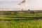 Small house and rice terraces in Pringsewu, Lampung.