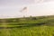 Small house and rice terraces in Pringsewu, Lampung