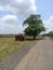 Small house at village natural Greenery beautiful scenery tree and sky