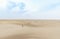 Small human amidst beautiful sand dunes on stunning massive Mesr desert in central Iran