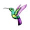 Small hummingbird. Exotic tropical colibri animal icon. Golden emerald feathers