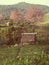 Small hut and cherry blossom on gabbage