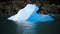 Small Iceberg floating in the lake near Grey Glacier in Torres del Paine, Patagonia / Chile.