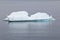 Small iceberg with gull in front, Avalon Peninsula