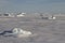 Small icebergs frozen in the ice of the Southern Ocean