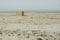 Small improvised house in the Sahara, in Mauritania