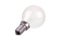 Small incandescent light bulb isolated