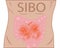 Small Intestinal Bacterial Overgrowth - SIBO