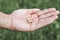 Small intra channel hearing aid device in a man`s hand.