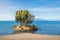 Small island at Llanquihue Lake - Frutillar, Chile