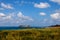 Small island in the Mediterranean hid behind wheat field. Cyprus