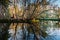 Small island on a pond, reflections of tree trunks in the light of the setting sun