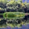 Small island of reeds in the river with reflections in the calm water. Asturias