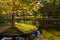 Small island with a tree, pond in Topcider park, Belgrade