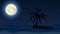 Small isle in sea with palm in night and moon