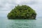 Small islet Los Haitises National Park close up