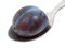 Small Italian plum on a spoon