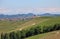 Small italian town among green hills and vineyards of Piedmont,