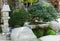 Small Japanese Style Garden