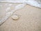 Small jelly fish on the sand beach