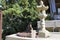 Small Jizo statues at the Daisho-in Temple on Mt. Misen