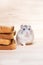 Small Jungar hamster near the bread toasts
