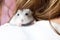Small Jungar hamster on the shoulder of a woman