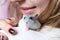 Small Jungar hamster on the shoulder of a woman