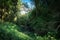 A small jungle around an inaccessible pond with fallen tree trunks in the evening.