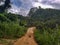 small jungle rain forest grass rice fields trees earth dirt bike motocross hill down reservoir doi pui peak chiang mai