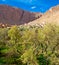 Small Kasbah in atlas mountains,morocco