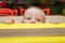 Small kid peeking over armchair. Child looking over armchair