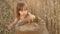 Small kid is playing grain in a sack in a wheat field. child with wheat in hand. baby holds the grain on the palm