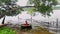 A small kid rowing coracle boat in large lake water