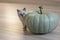 Small kitten and a big pumpkin