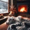 Small kitten sleeping near open fire with view of cold exterior