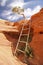 A small ladder along a hiking route in Utah.