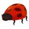 Small ladybug icon cartoon vector. Bug ladybird
