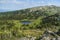 Small lake in the alpine meadows