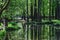 Small lake in the city surrounded by trees. Spring. Reflection in the water