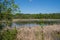 Small lake at Clifton French Regional Park in Plymouth Minnesota