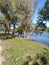 A small lake in the countryside. Yellow and green leaves